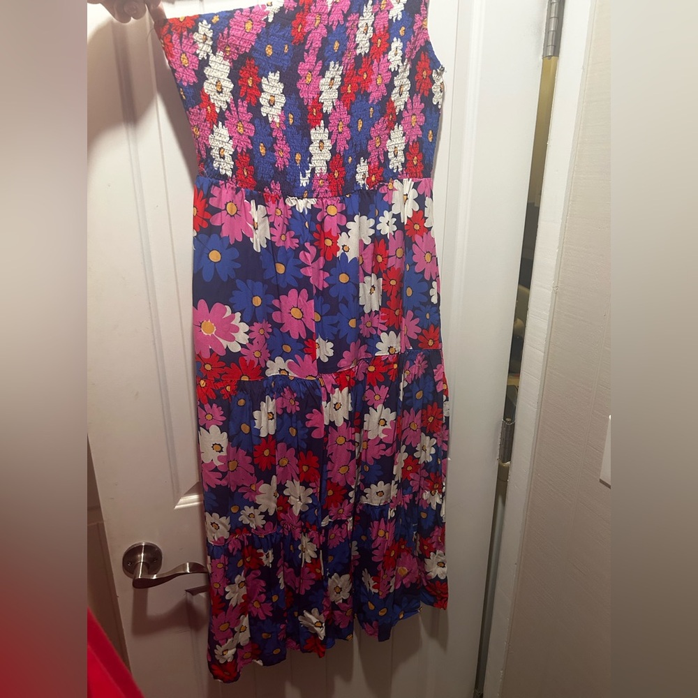 XL Floral Maxi Dress in Blue and Pink